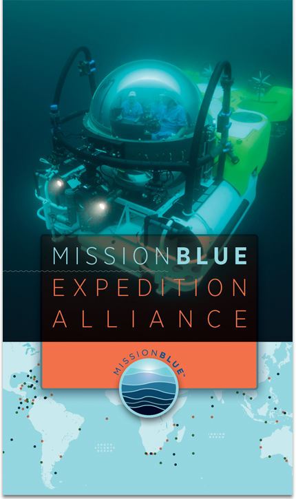MB Expedition Alliance
