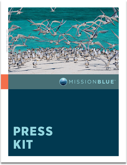 Mission Blue Press Kit
