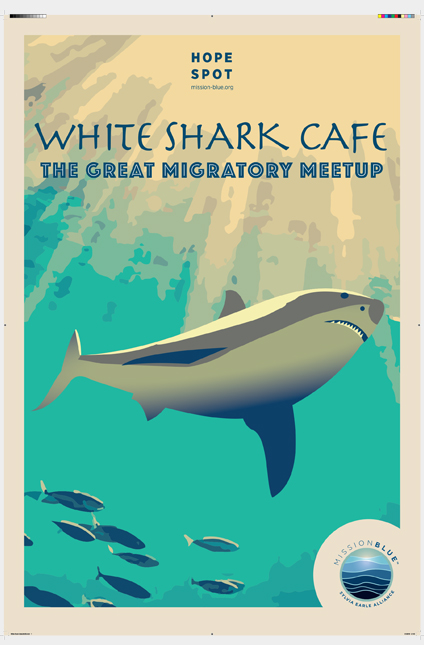 White Shark Cafe